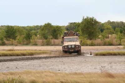 Click to view full size image