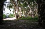 CapeYork0104.jpg