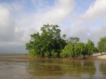 CapeYork0107.jpg