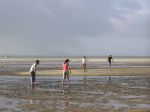 CapeYork0109.jpg