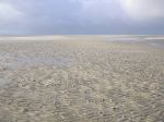 CapeYork0119.jpg