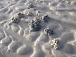 CapeYork0120.jpg