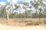 CapeYork0168.jpg