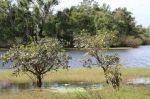 CapeYork0171.jpg