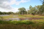 CapeYork0172.jpg
