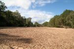 CapeYork0174.jpg