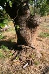CapeYork0180.jpg