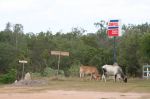 CapeYork0209.jpg