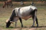 CapeYork0215.jpg