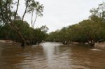 CapeYork0226.jpg