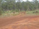 CapeYork0251.jpg