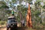 CapeYork0279.jpg