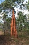 CapeYork0282.jpg