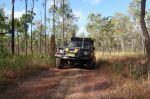 CapeYork0287.jpg
