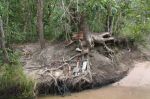 CapeYork0320.jpg