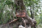 CapeYork0321.jpg