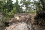 CapeYork0325.jpg