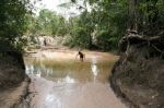 CapeYork0326.jpg