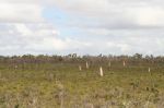 CapeYork0353.jpg
