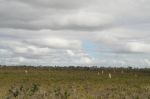 CapeYork0354.jpg