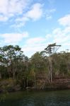 CapeYork0371.jpg
