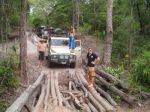 CapeYork0378.jpg