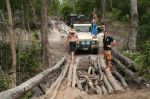 CapeYork0379.jpg