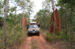 CapeYork0409.jpg