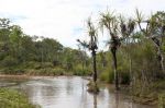 CapeYork0413.jpg