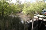 CapeYork0434.jpg