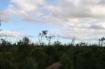 CapeYork0438.jpg