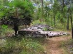 CapeYork0447.jpg