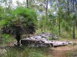 CapeYork0448.jpg