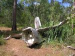 CapeYork0454.jpg