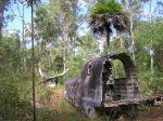 CapeYork0456.jpg