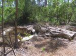 CapeYork0463.jpg