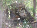 CapeYork0473.jpg