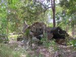 CapeYork0474.jpg