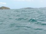 CapeYork0484.jpg