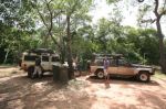 CapeYork0532.jpg