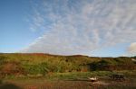CapeYork0558.jpg
