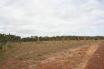 CapeYork0576.jpg