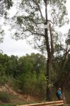 CapeYork0581.jpg