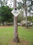 CapeYork0633.jpg