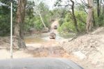 CapeYork0639.jpg