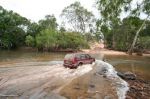 CapeYork0642.jpg