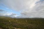 CapeYork0657.jpg