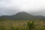 CapeYork0662.jpg