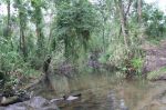 CapeYork0663.jpg