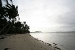 CapeYork0671.jpg